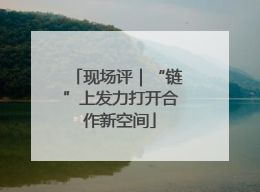 现场评｜“链”上发力打开合作新空间