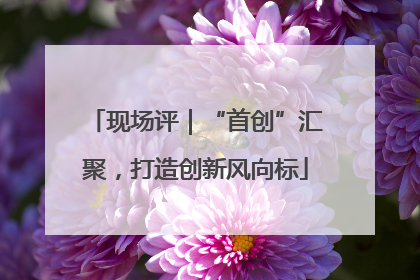 现场评｜“首创”汇聚，打造创新风向标