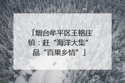 烟台牟平区王格庄镇：赶“海洋大集” 品“百果乡情”