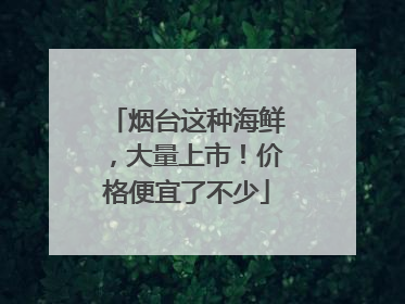 烟台这种海鲜，大量上市！价格便宜了不少