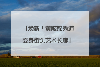 焕新！黄陂锦秀道变身街头艺术长廊