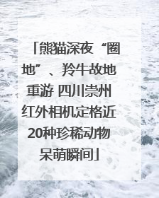 熊猫深夜“圈地”、羚牛故地重游 四川崇州红外相机定格近20种珍稀动物呆萌瞬间