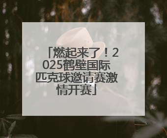 燃起来了！2025鹤壁国际匹克球邀请赛激情开赛