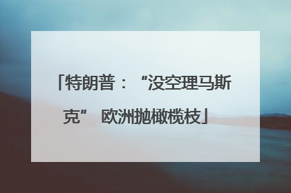 特朗普：“没空理马斯克” 欧洲抛橄榄枝