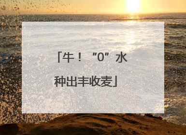 牛！“0”水种出丰收麦