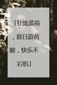 狂炫蓝莓，夏日游黄陂，快乐不宕机