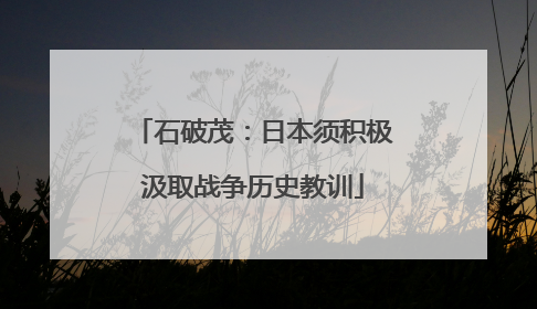 石破茂：日本须积极汲取战争历史教训