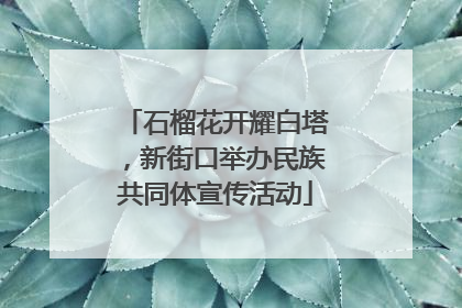 石榴花开耀白塔，新街口举办民族共同体宣传活动