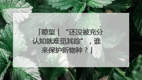 瞭望｜“还没被充分认知就难觅其踪”，谁来保护新物种？