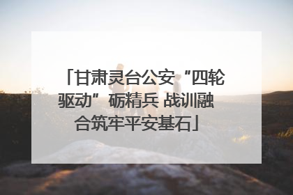 甘肃灵台公安“四轮驱动”砺精兵 战训融合筑牢平安基石