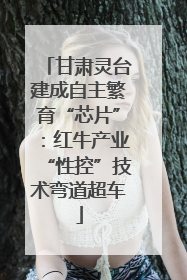 甘肃灵台建成自主繁育“芯片”：红牛产业“性控”技术弯道超车
