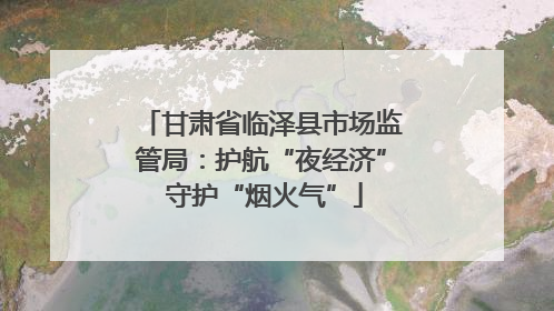 甘肃省临泽县市场监管局：护航“夜经济” 守护“烟火气”