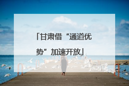 甘肃借“通道优势”加速开放