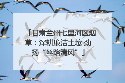甘肃兰州七里河区烟草：深耕廉洁土壤 劲扬“丝路清风”