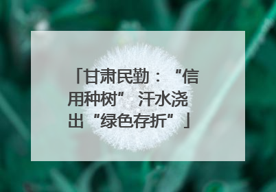 甘肃民勤：“信用种树” 汗水浇出“绿色存折”