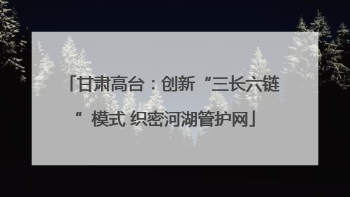 甘肃高台：创新“三长六链”模式 织密河湖管护网