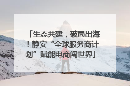 生态共建，破局出海！静安“全球服务商计划”赋能电商闯世界