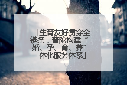生育友好贯穿全链条，普陀构建“婚、孕、育、养”一体化服务体系