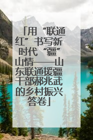 用“联通红”书写新时代“疆”山情——山东联通援疆干部郝兆武的乡村振兴答卷