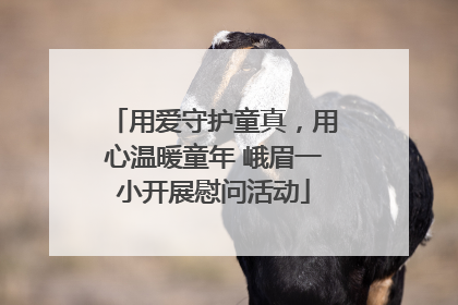 用爱守护童真，用心温暖童年 峨眉一小开展慰问活动
