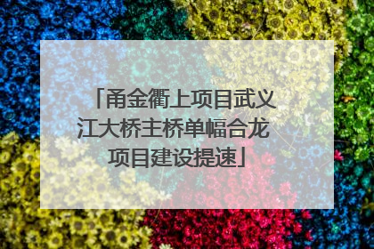 甬金衢上项目武义江大桥主桥单幅合龙 项目建设提速