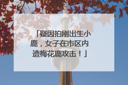 疑因拍刚出生小鹿，女子在市区内遭梅花鹿攻击！