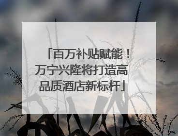 百万补贴赋能！万宁兴隆将打造高品质酒店新标杆