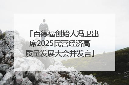 百德福创始人冯卫出席2025民营经济高质量发展大会并发言