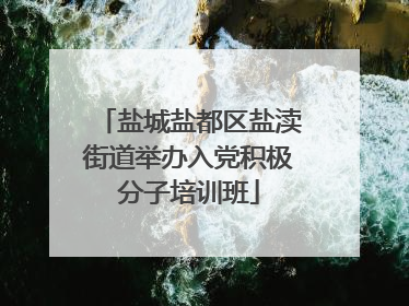 盐城盐都区盐渎街道举办入党积极分子培训班