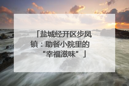盐城经开区步凤镇：助餐小院里的“幸福滋味”