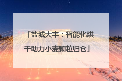 盐城大丰：智能化烘干助力小麦颗粒归仓
