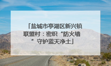 盐城市亭湖区新兴镇联盟村：密织“防火墙”守护蓝天净土