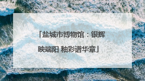 盐城市博物馆：银辉映端阳 釉彩谱华章
