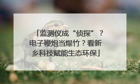 监测仪成“侦探”？电子鞭炮当爆竹？看新乡科技赋能生态环保
