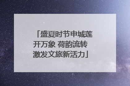 盛夏时节申城莲开万象 荷韵流转激发文旅新活力