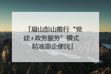眉山彭山推行“党建+政务服务”模式 精准惠企便民
