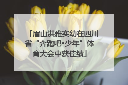 眉山洪雅实幼在四川省“奔跑吧•少年”体育大会中获佳绩