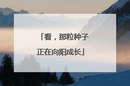 看，那粒种子正在向阳成长