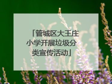 管城区大王庄小学开展垃圾分类宣传活动