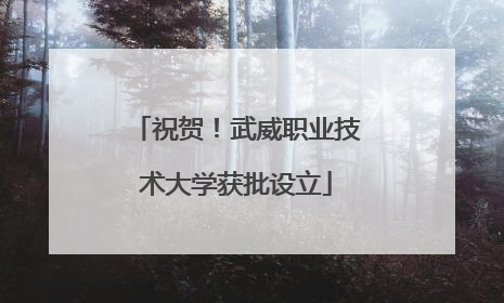 祝贺！武威职业技术大学获批设立