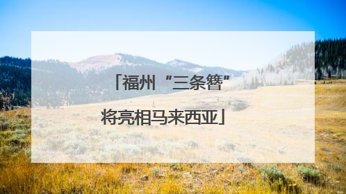 福州“三条簪”将亮相马来西亚