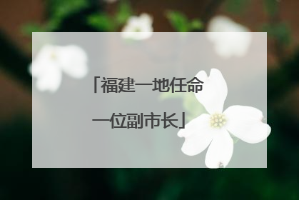 福建一地任命一位副市长