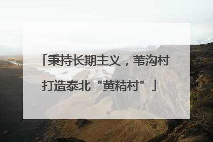 秉持长期主义，苇沟村打造泰北“黄精村”
