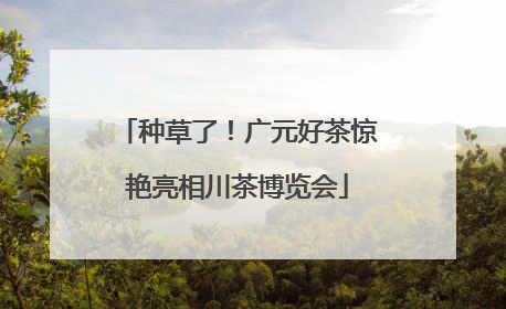 种草了！广元好茶惊艳亮相川茶博览会
