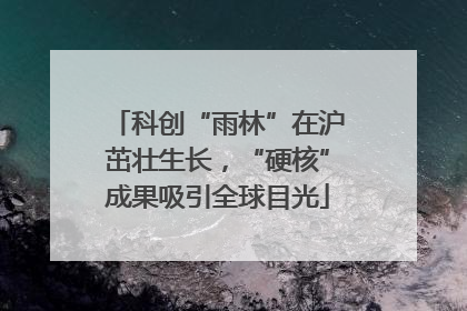 科创“雨林”在沪茁壮生长，“硬核”成果吸引全球目光
