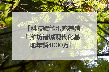 科技赋能蛋鸡养殖！潍坊诸城现代化基地年销4000万