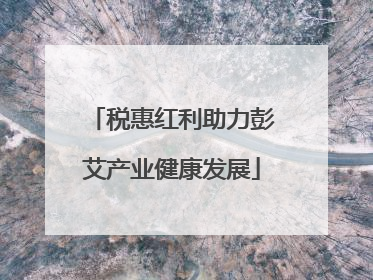 税惠红利助力彭艾产业健康发展