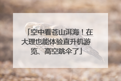 空中看苍山洱海！在大理也能体验直升机游览、高空跳伞了