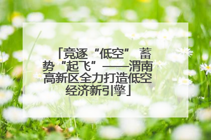 竞逐“低空” 蓄势“起飞”——渭南高新区全力打造低空经济新引擎