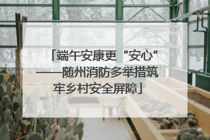 端午安康更“安心”——随州消防多举措筑牢乡村安全屏障